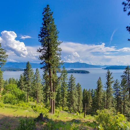 Driftwood 5 Sandpoint Exterior foto