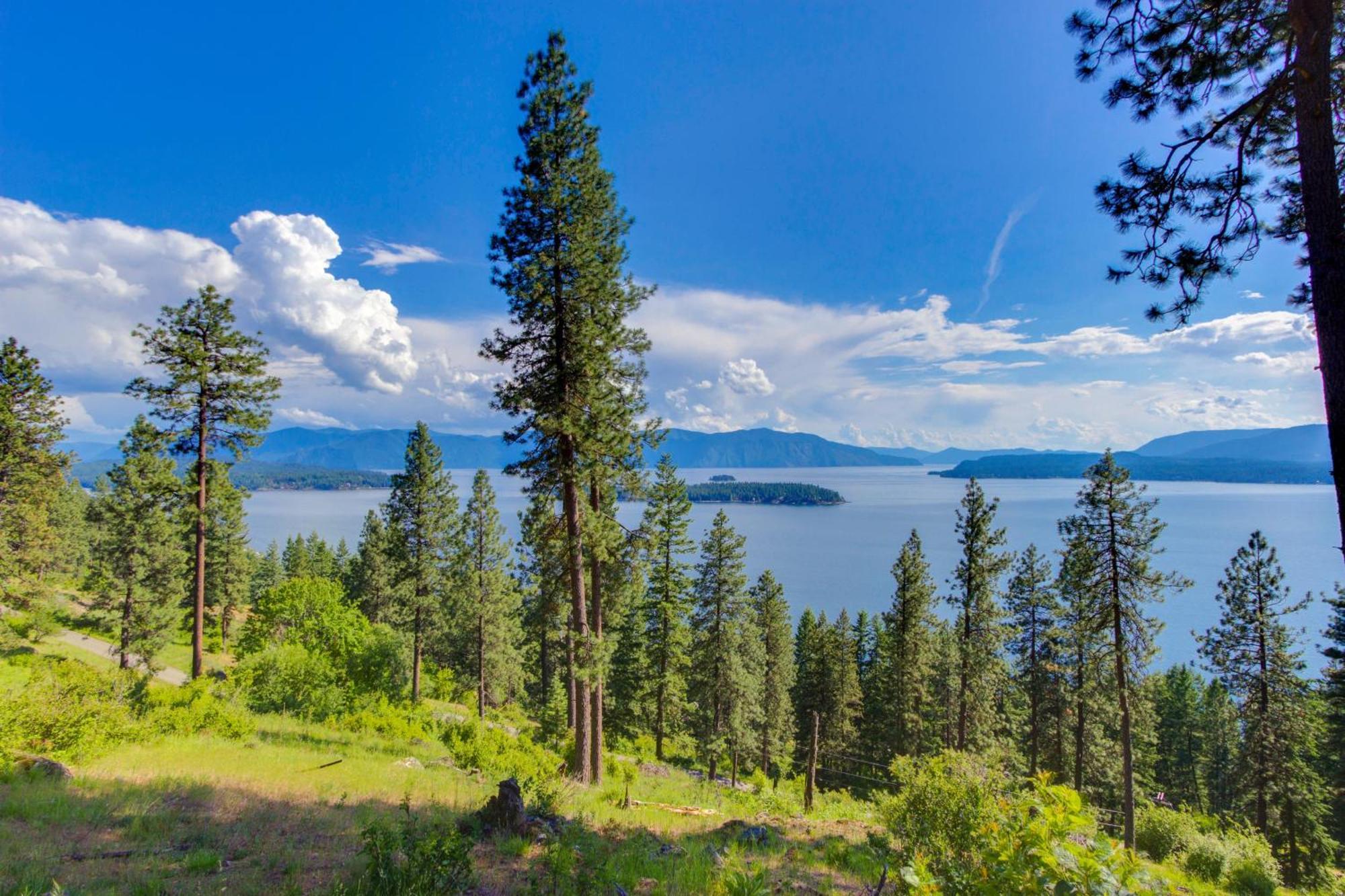 Driftwood 5 Sandpoint Exterior foto